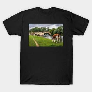 Halfpenny Bridge and Thames Path Lechlade T-Shirt